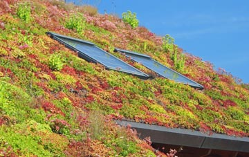 West Curthwaite living roof systems