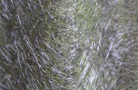 West Curthwaite fibreglass roof work